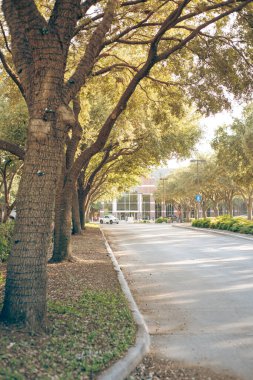 City Hall building of Farmers Branch, city in Dallas County, Texas surrounding lush green tree lined street, scenic Southern Oak boulevard in warm late afternoon light, well maintained landscape. USA clipart