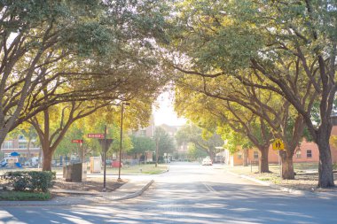 Ağaç kaplı sokak, yüksek binalar, oyun alanı, sokak adı, şehir merkezindeki Farmers Branch, Texas, Dallas County, DFW metroplex, yemyeşil Güney Oak 'ta yürüyen tabela. ABD
