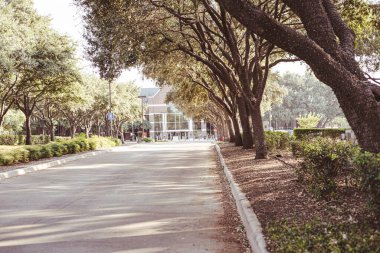 City Hall building of Farmers Branch, city in Dallas County, Texas surrounding lush green tree lined street, scenic Southern Oak boulevard in warm late afternoon light, well maintained landscape. USA clipart