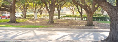 Panorama manzaralı büyüleyici ağaç, Dallas County, DFW Metroplex 'de bulunan ve uzun, olgun, yemyeşil meşe ağaçlarının bulunduğu Texas, Çiftçi Branch' ın belediye binasına rehberlik etti. ABD