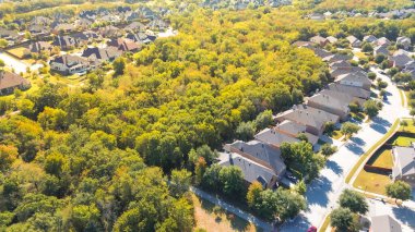 Fall foliage at lush green forest near upscale neighborhood row of upscale suburban houses large residential street, well-trimmed landscape in Bartonville and Argyle, Denton County, Texas, aerial. USA clipart