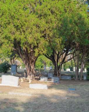 Mezarlıktaki yemyeşil ağaç gölgesi, mezarlık, mezar taşı mezar taşlı mezar taşı mezar taşı, özenle hazırlanmış taş levha cenazesi, yeşil uzay anıtı parkı, Çiftçi Şubesi, Teksas. ABD