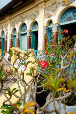 Seçici odak noktası Blossom kırmızı plumeria ya da Can Tho, Vietnam 'daki antik evlerin önündeki Frangipani çiçek çalıları, Rauvolfioideae' deki tropikal çiçek bitkisi, Fransız mimarisi, seyahat. Asya