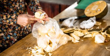 Panorama manzaralı geleneksel elbiseli Vietnamlı kadın Can Tho, Vietnam 'daki turist ticari meyve bahçesinden torba almak için bıçak soyarken beyaz iplikli et hamurunu çıkardı. Asya