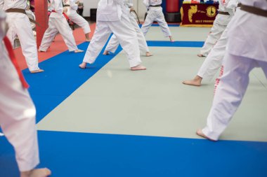 Beyaz tekvando üniformaları ve çeşitli ergen öğrenciler ısınıyor. Stüdyoda duruş şekilleri Teksas 'taki dersler için hazır. Kızlar ve oğlanlar aktif öz disiplin eğitimi alıyorlar. ABD