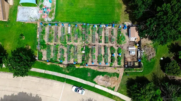 Halk bahçesindeki ahşap bahçe sırasına yakın oyun alanı, metal kaldırılmış yataklar dikey, mavi yağmur suyu varili, kulübe, taze üretim Carrollton 'da kentsel tarım, Dallas' ın banliyölerinde. ABD