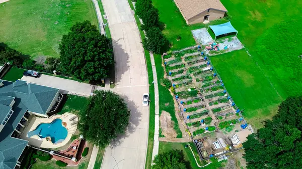 Malikanenin havuzlu mahallesi ahşap bahçeli, metal yükseltilmiş çarşaf sistemi mavi yağmur suyu varili, Carrollton 'da yapraklı yeşillikler, Dallas' ın banliyöleri. ABD