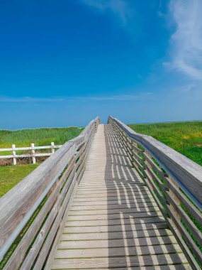 Yukarı bakan sahil yolu kıyıdaki çimlerin içinden geçiyor. Parmaklıklardan dökülen gölgeler, kalaslar boyunca ritmik bir kalıp oluşturuyor ve Galveston plajına doğru görsel doku ve derinlik ekliyor. ABD