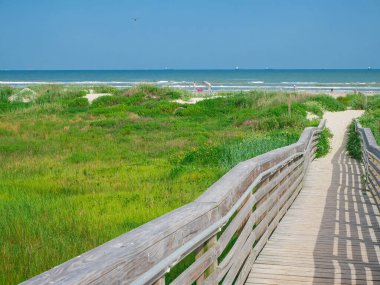 Kumsaldaki sahil şeridi, Galveston, Teksas 'taki Doğu Sahili' ne doğru yemyeşil bir kıyı bitkisine çıkıyor. Kum ve gelişen kum tepeciklerindeki gölgeler doğal güzelliği ve çevre dostu plaj erişimini ön plana çıkarıyor. ABD