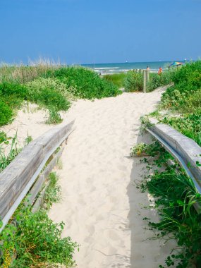 Gökkuşağı şemsiyesi ve kumlu yoldaki plaj aktiviteleri Galveston, Teksas 'taki sahil şeridinden East Beach' e kadar uzanıyor. Kıyı bitkileri ve şemsiyeler altında sahile gidenler, rahatlayın. ABD