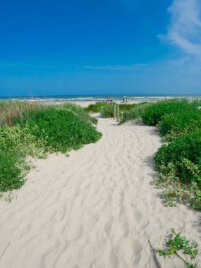 Kıyı bitkisinden kumlu kıyı şeridine olan doğal geçiş yolu Galveston, Teksas 'taki East Beach' e çıkıyor. Kıyı bitkileri, şemsiyeler altında sahile gidenler manzara erişimlerini ön plana çıkarıyor. ABD