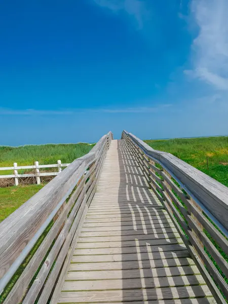 Yukarı bakan sahil yolu kıyıdaki çimlerin içinden geçiyor. Parmaklıklardan dökülen gölgeler, kalaslar boyunca ritmik bir kalıp oluşturuyor ve Galveston plajına doğru görsel doku ve derinlik ekliyor. ABD
