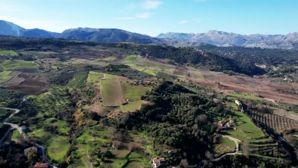 Huge Green Space Paradise Next Spanish City Ronda — Stockvideo
