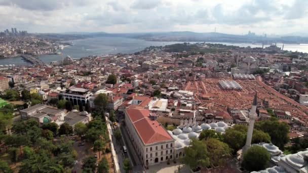 空中ドローン画像 イスタンブール トルコ 有名なモスクが姿を現している 高品質の4K映像 — ストック動画