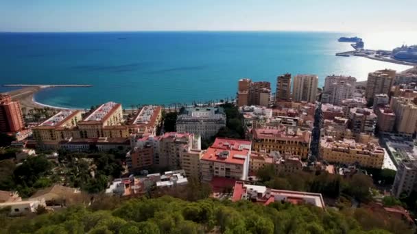 Malaga Limanı Nın Havadan Çekilmiş Görüntüleri Malaga Şehrinde Bulunan Büyük — Stok video