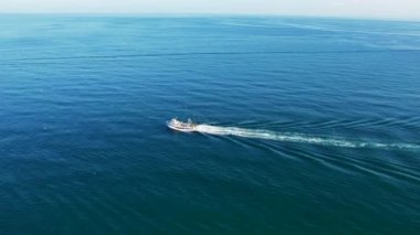 Deniz suyunda martılarla çevrili küçük bir balıkçı teknesi. İspanya 'nın balıkçılık endüstrisinde balık tutma ve takip etme. Yüksek kalite 4k görüntü