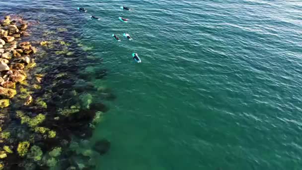 Школа Серфинга Пляже Испании Разных Людей Уроки Серфинга Практика Воде — стоковое видео