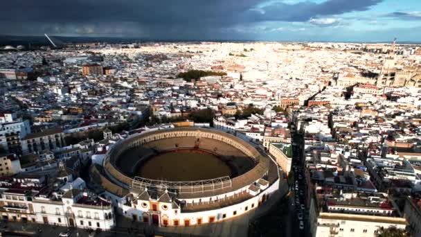 Αεροφωτογραφία Της Σεβίλλης Ισπανία Riverside Traffic Και Παλιά Ιστορικά Κτίρια — Αρχείο Βίντεο
