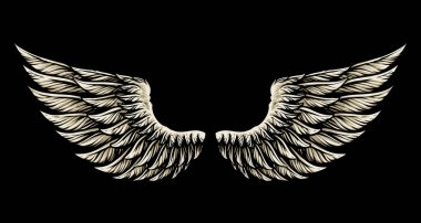 the angel wing vector illustration clipart