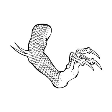 Sanat ejderhası çizgisi el vektörüne saldırıyor