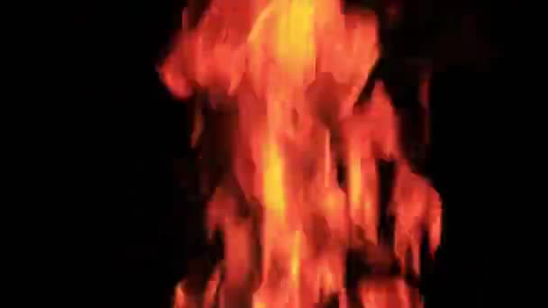 Lagerfeuer Flamme Auf Schwarzem Hintergrund Feuer Auf Dunklem Grund Ruhe — Stockvideo