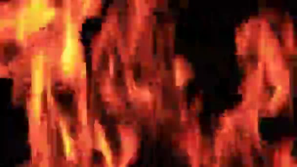 Lagerfeuer Flamme Auf Schwarzem Hintergrund Feuer Auf Dunklem Grund Ruhe — Stockvideo