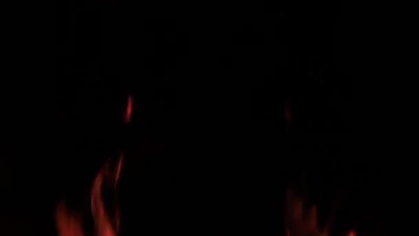 黑色背景上的篝火火焰 在黑暗的背景下开火 去野营休息吧结构 抽象背景 — 图库视频影像
