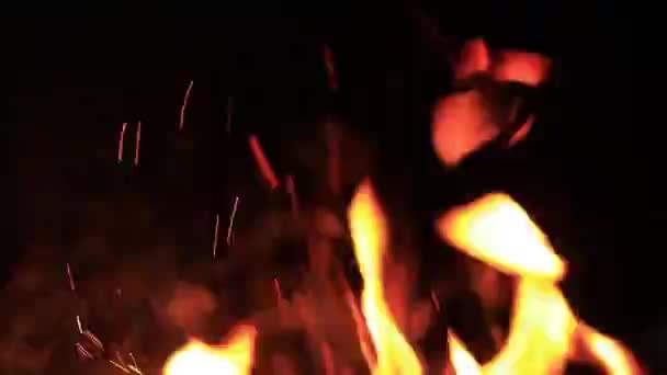 Полум Вогню Чорному Тлі Вогонь Темному Тлі Відпочинок Кемпінгу Текстура — стокове відео