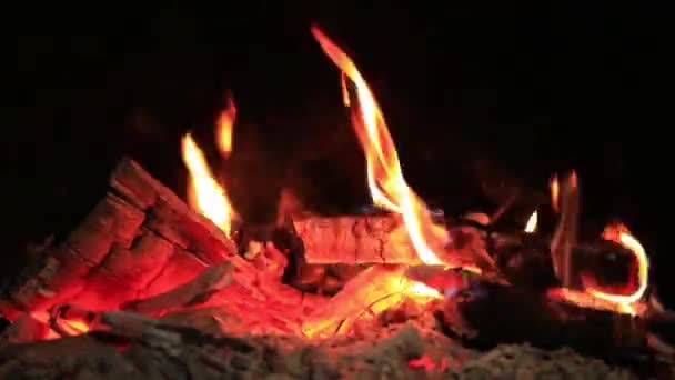 Tüzes Láng Fekete Háttérrel Tűz Sötét Háttérrel Pihenj Kempingben Textúra — Stock videók