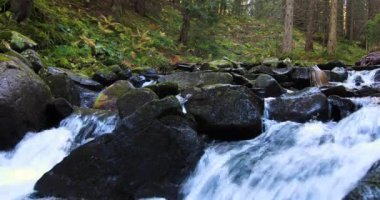 Sonbahar kozalaklı ormanındaki dağ nehri. Küçük çağlayan şelaleler ve taş bloklar. Harika bir dağ manzarası.