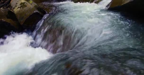 Horská Řeka Podzimním Jehličnatém Lese Malé Kaskádové Vodopády Kamenné Bloky — Stock video
