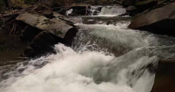 Górska Rzeka Jesiennym Lesie Iglastym Małe Kaskadowe Wodospady Kamienne Bloki — Wideo stockowe