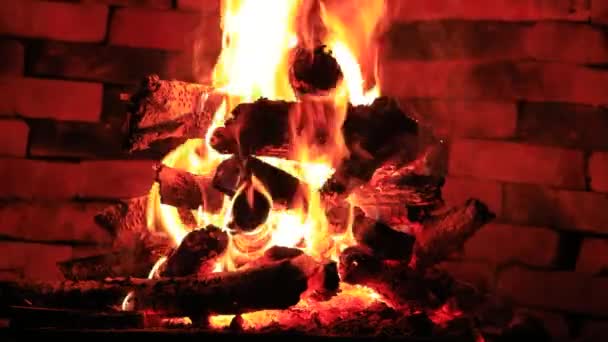 Drewno Płonie Kominku Płomienie Ciemnym Tle — Wideo stockowe