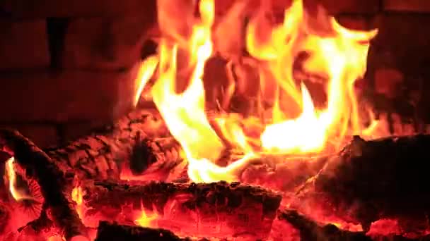 Drewno Płonie Kominku Płomienie Ciemnym Tle — Wideo stockowe