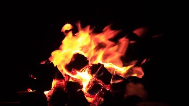 Firewood Burning Fireplace Flames Dark Background — Stock Video