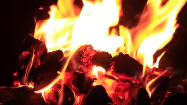 Leña Está Ardiendo Chimenea Llamas Sobre Fondo Oscuro — Vídeo de stock