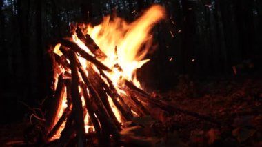 Kamp alanında fayton var, ormanda dinleniyor. Harika bir orman manzarası..