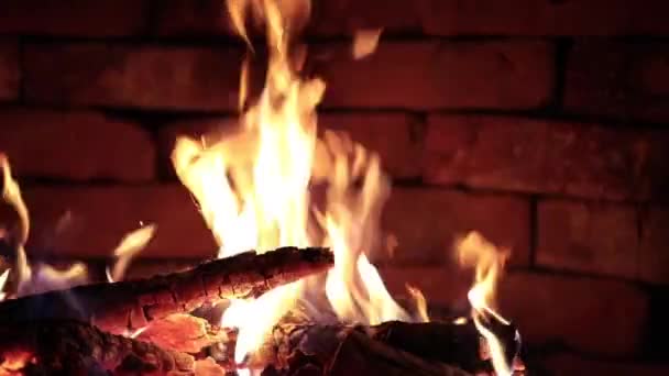 Leña Está Ardiendo Chimenea Llamas Sobre Fondo Oscuro — Vídeos de Stock
