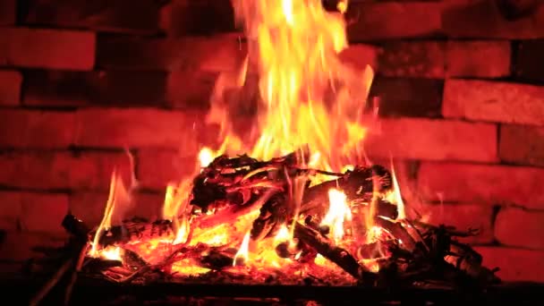 Leña Está Ardiendo Chimenea Llamas Sobre Fondo Oscuro — Vídeos de Stock