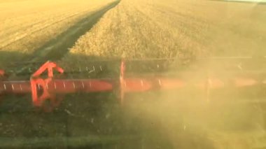 Tahıl hasat süreci. Arazide ürün toplayan hasat makinesinin üst görünümü.