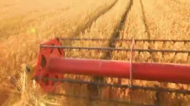 Tahıl hasat süreci. Arazide ürün toplayan hasat makinesinin üst görünümü.