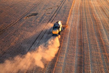 Ukrainian grain harvest. A combine harvester in the field collects wheat or barley. Aerial view of an agricultural field. Wonderful summer rural landscape.