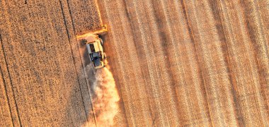 Ukrainian grain harvest. A combine harvester in the field collects wheat or barley. Aerial view of an agricultural field. Wonderful summer rural landscape.