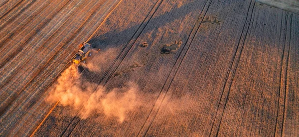 Ukrainian Grain Harvest Combine Harvester Field Collects Wheat Barley Aerial — Foto Stock