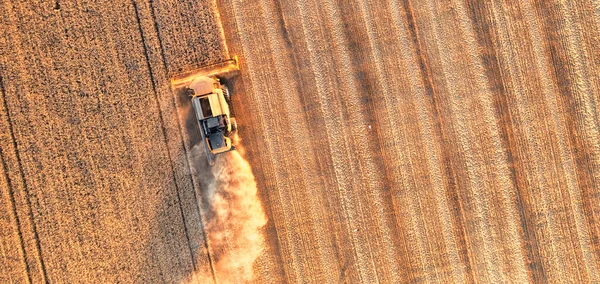 Ukrainian Grain Harvest Combine Harvester Field Collects Wheat Barley Aerial — Stockfoto