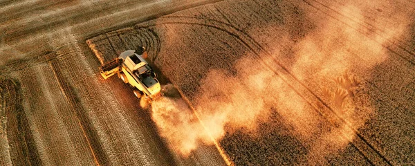 Egy Kombájn Betakarítja Búzát Mezőn Kilátás Egy Drónról — Stock Fotó