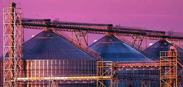 Lift Grain Kompleks Agro Industri Modern Untuk Penyimpanan Gandum Dan — Stok Foto