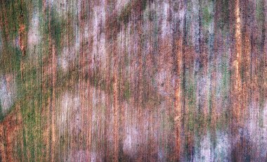 Buğday soğuktan ve hastalıklardan zarar görmüş. Tarım mahsulleri böcek ilaçları, ot ilaçları veya kötü hava koşulları veya hastalıklar nedeniyle yok ediliyor..
