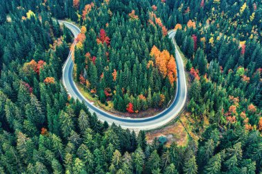 The road in the mountain forest. A wonderful autumn landscape. Drone view. Concept, freedom and travel.
