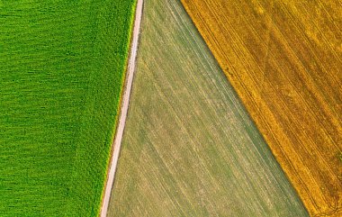 Agricultural fields with various crops. Summer landscape. View from a drone.